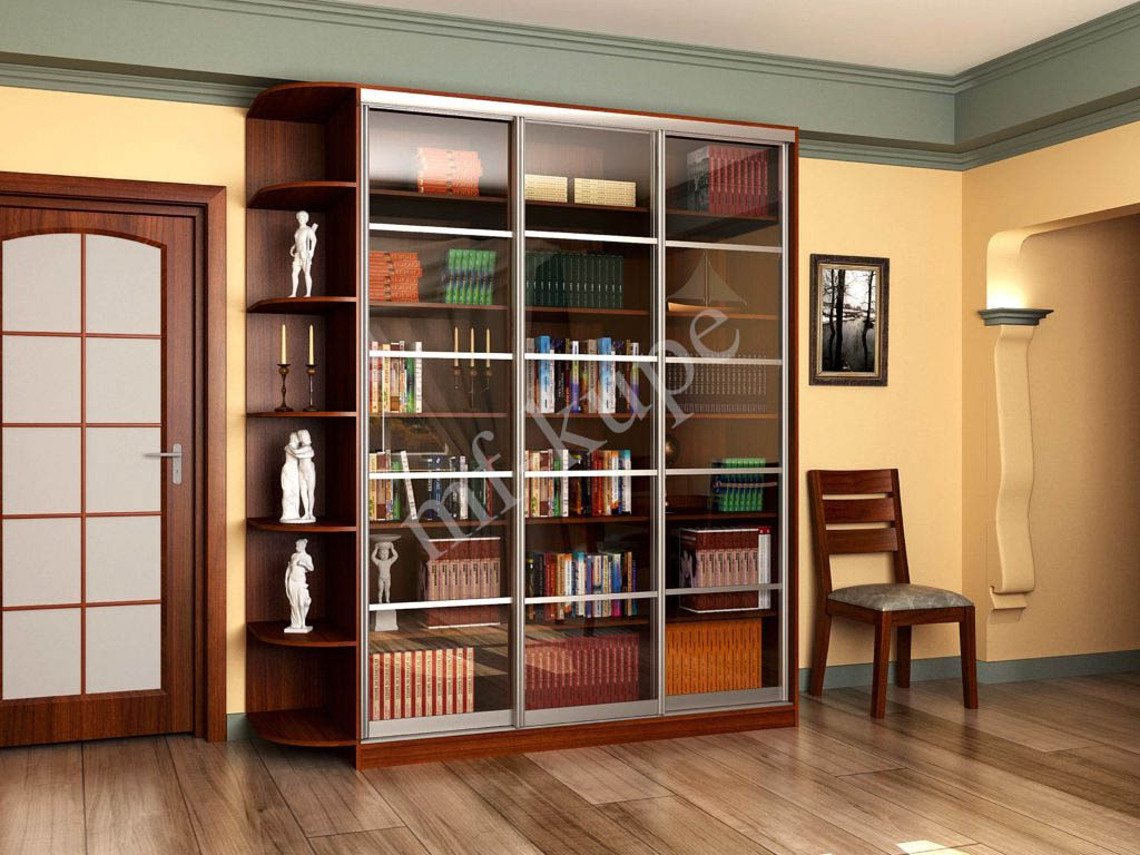 Стеллаж купе. Книжный шкаф Версаль 3. Книжный шкаф Glass Cabinet. Книжный шкаф купе Дижон 1 BMS. Шкаф библиотека Версаль-22у.